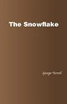 George Turrell - The Snowflake