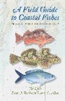 Larry G Allen, Larry G. Allen, Larry G. (Professor of Biology Allen, Valerie A Kells, Valerie A. Kells, Valerie A. Rocha Kells... - Field Guide to Coastal Fishes