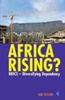Ian Taylor, Professor Ian Taylor - Africa Rising?