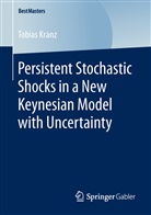 Tobias Kranz - Persistent Stochastic Shocks in a New Keynesian Model with Uncertainty