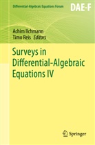 Achi Ilchmann, Achim Ilchmann, Reis, Reis, Timo Reis - Surveys in Differential-Algebraic Equations IV