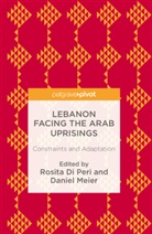 Rosita Meier Di Peri, Rosit Di Peri, Rosita Di Peri, Meier, Meier, Daniel Meier... - Lebanon Facing the Arab Uprisings