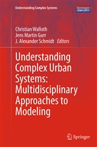 J Alexander Schmidt, Jens Martin Gurr, Jen Martin Gurr, Jens Martin Gurr, J. Alexander Schmidt, Christian Walloth - Understanding Complex Urban Systems: Multidisciplinary Approaches to Modeling