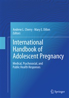 Andrew Cherry, Andrew L. Cherry, Mary Dillon, Mary E. Dillon, E Dillon, E Dillon... - International Handbook of Adolescent Pregnancy
