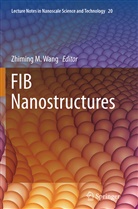 Zhimin M Wang, Zhiming M Wang, Zhiming M. Wang - FIB Nanostructures