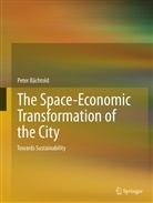 Peter Bachtold - The Space-Economic Transformation of the City