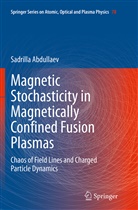 Sadrilla Abdullaev - Magnetic Stochasticity in Magnetically Confined Fusion Plasmas