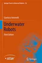 Gianluca Antonelli - Underwater Robots