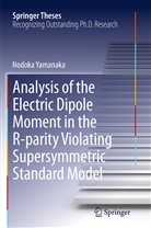 Nodoka Yamanaka - Analysis of the Electric Dipole Moment in the R-parity Violating Supersymmetric Standard Model