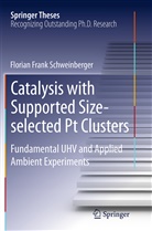 Florian Schweinberger, Florian Frank Schweinberger - Catalysis with Supported Size-selected Pt Clusters