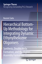 Nozomi Saito - Hierarchical Bottom-Up Methodology for Integrating Dynamic Ethynylhelicene Oligomers