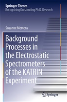 Susanne Mertens - Background Processes in the Electrostatic Spectrometers of the KATRIN Experiment