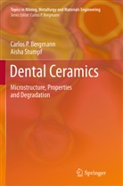 Carlo Bergmann, Carlos Bergmann, Carlos P. Bergmann, Aisha Stumpf - Dental Ceramics