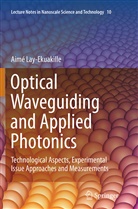Aime Lay-Ekuakille, Aimé Lay-Ekuakille - Optical Waveguiding and Applied Photonics