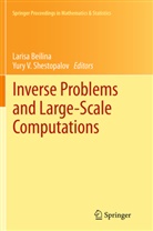 Laris Beilina, Larisa Beilina, Yury V. Shestopalov, V Shestopalov, V Shestopalov - Inverse Problems and Large-Scale Computations