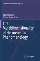 Babett Babich, Babette Babich, Ginev, Ginev, Dimitri Ginev - The Multidimensionality of Hermeneutic Phenomenology