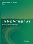 Dubinsky, Dubinsky, Zvy Dubinsky, Stefan Goffredo, Stefano Goffredo - The Mediterranean Sea