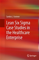Sandra L Furterer, Sandra L. Furterer, Sandra L. Futerer - Lean Six Sigma Case Studies in the Healthcare Enterprise