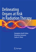 Giampiero Ausili Cefaro, Giampier Ausili Cèfaro, Giampiero Ausili Cèfaro, Domenic Genovesi, Domenico Genovesi, Perez... - Delineating Organs at Risk in Radiation Therapy