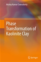 Akshoy Kumar Chakraborty - Phase Transformation of Kaolinite Clay
