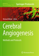Richar Milner, Richard Milner - Cerebral Angiogenesis