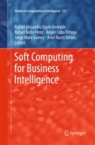 Rafae Bello Pérez, Rafael Bello Pérez, Angel Cobo, Angel Cobo et al, Rafael Espin, Jorge Marx... - Soft Computing for Business Intelligence