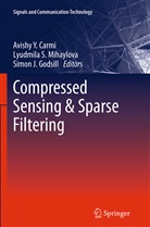 Avishy Y. Carmi, Simon J. Godsill, Simon J Godsill, Lyudmil Mihaylova, Lyudmila Mihaylova, Lyudmila S. Mihaylova - Compressed Sensing & Sparse Filtering