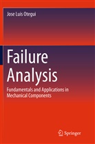 Jose Luis Otegui - Failure Analysis