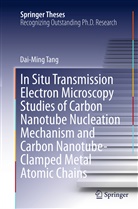 Dai-Ming Tang - In Situ Transmission Electron Microscopy Studies of Carbon Nanotube Nucleation Mechanism and Carbon Nanotube-Clamped Metal Atomic Chains