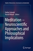 Stefa Schmidt, Stefan Schmidt, Walach, Walach, Harald Walach - Meditation - Neuroscientific Approaches and Philosophical Implications