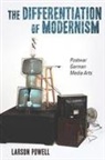 Larson Powell, Professor Larson (Customer) Powell - The Differentiation of Modernism