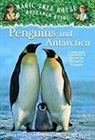 Natalie Pope Boyce, Mary Pope Osborne, Salvatore Murdocca - Penguins and Antarctica: A Nonfiction Companion to Magic Tree House #40: Eve of the Emperor Penguin