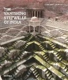 Divay Gupta, Victoria Lautman, Victoria Lautmann - The Vanishing Stepwells of India