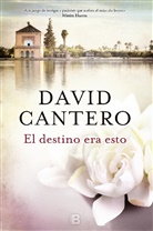 David Cantero, David F. Cantero - El destino era esto / This was Fate