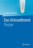 Josefine Neuendorf - Das Urinsediment, Poster