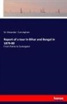 Alexander Cunningham, Sir Alexander Cunningham - Report of a tour in Bihar and Bengal in 1879-80