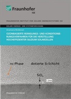 Anamaria Moldovan, Brs, Freiburg/Brsg. Fraunhofer ISE, Fraunhofe ISE Freiburg - Ozonbasierte Reinigungs- und Konditionierungsverfahren für die Herstellung hocheffizienter Silizium Solarzellen