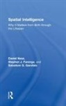 Stephen J. Farenga, Stephen J. (Professor of Science Education Farenga, Farenga Stephen J., Salvatore G. Garofalo, Daniel Ness, Daniel (Associate Professor of Stem Educatio Ness... - Spatial Intelligence