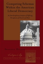 Shannon Holzer, Holzer Shannon - Competing Schemas Within the American Liberal Democracy