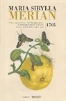 Maria Sibylla Merian, Merian, Maria Sibyll Merian, Maria Sibylla Merian, MS Van Delft Merian - Maria Sibylla Merian. Metamorphosis insectorum Surinamensium