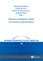Mechthild Albert, Ulrike Becker, Rafael Bonilla Cerezo, Angela Fabris - Nuevos enfoques sobre la novela corta barroca