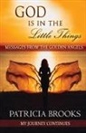 Patricia Brooks - God Is In The Little Things