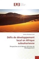 Ibrahim Aboubacar Larré - Défis de développement local en Afrique subsaharienne