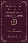 William Godwin - Things as They Are, or the Adventures of Caleb Williams, Vol. 3 of 3 (Classic Reprint)