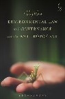 Louis Kotze, Louis J. Kotze, Louis Kotze, Louis J. Kotze, Professor Louis Kotze, Louis Kotzé - Environmental Law and Governance for the Anthropocene