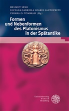 Lucian Gabriela Soares Santoprete, Luciana Gabriela Soares Santoprete, Chi O Tommasi, Helmut Seng, Luciana Gabriela Soares Santoprete, Chiara O. Tommasi - Formen und Nebenformen des Platonismus in der Spätantike