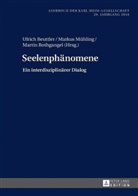 Ulrich Beuttler, Markus Mühling, Martin Rothgangel - Seelenphänomene