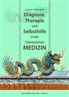 Joachim Stuhlmacher - Diagnose, Therapie und Selbsthilfe in der Chinesischen Medizin
