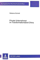 Stefanie Schmitt - Private Unternehmen im Transformationsland China