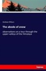 Andrew Wilson - The abode of snow